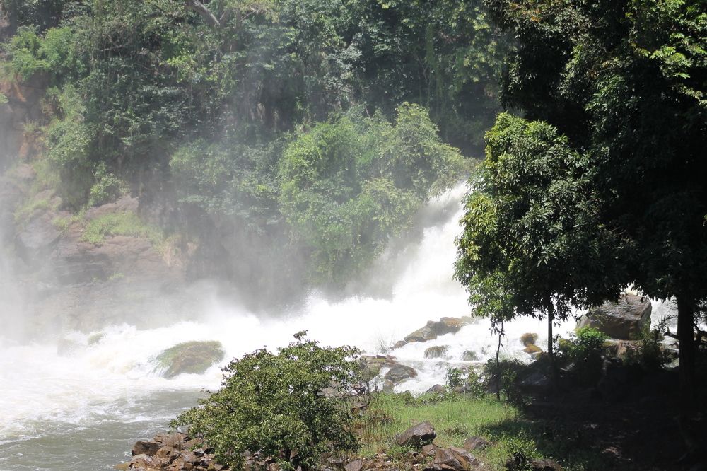 Фотография автора Maria de Fátima Silva