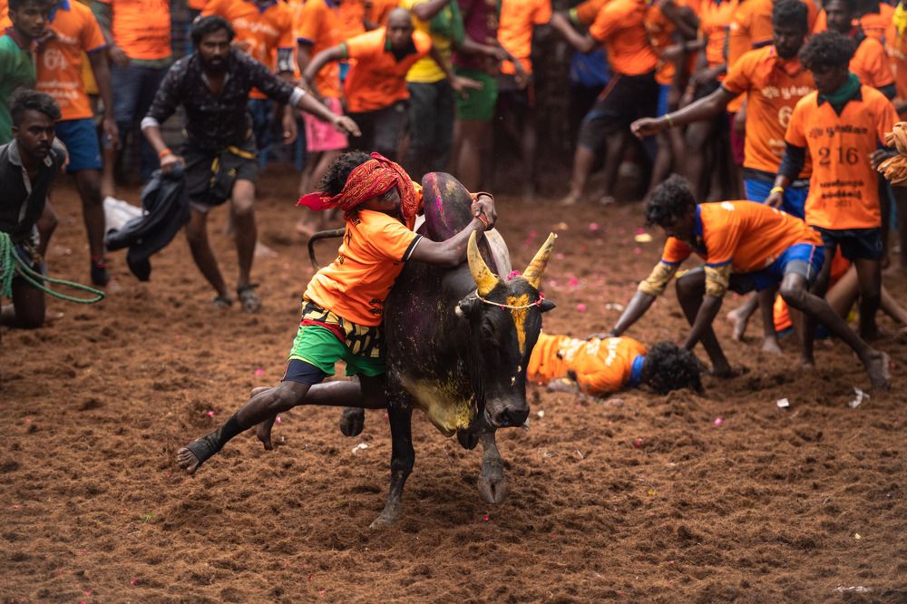 Photograph by Ranjith Kumar