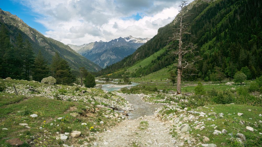 Photograph by Ирина Умиленко