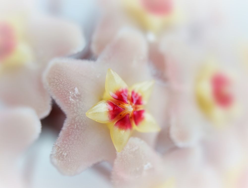 Photograph by Роман Солоха