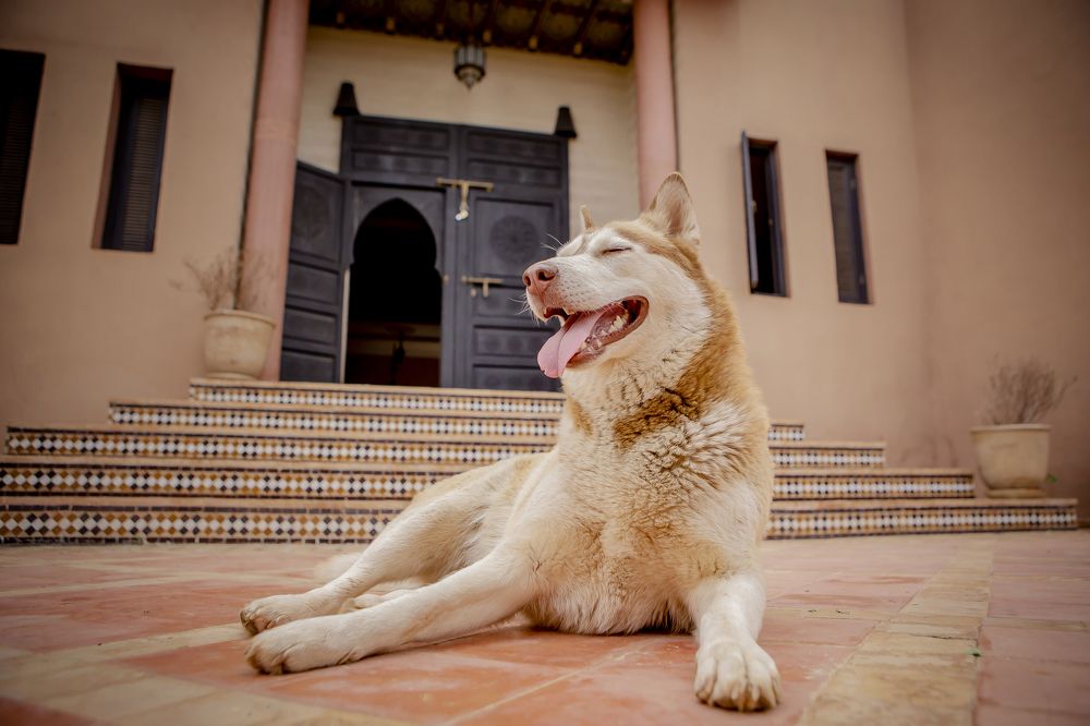 Photograph by Katja Sen