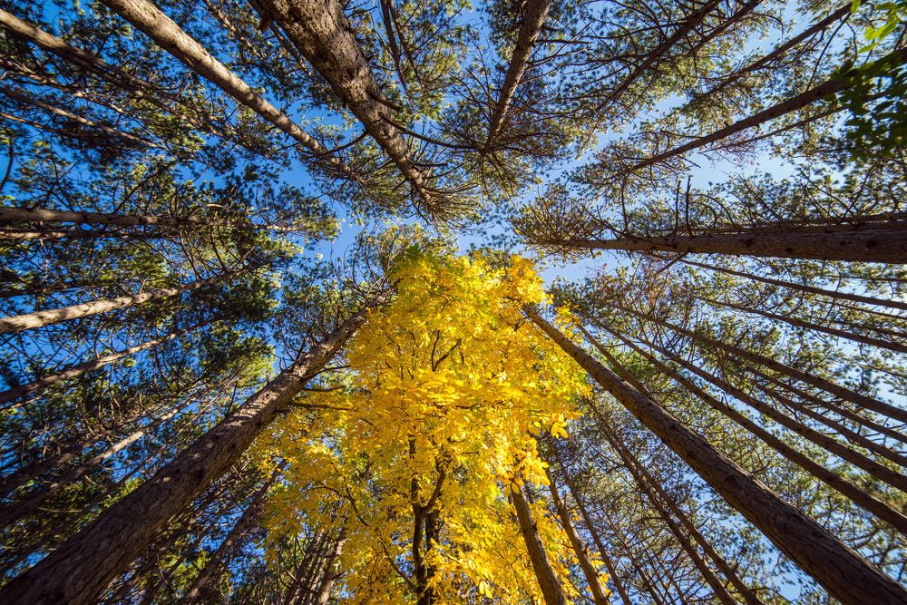 Photograph by Matko Matkovic