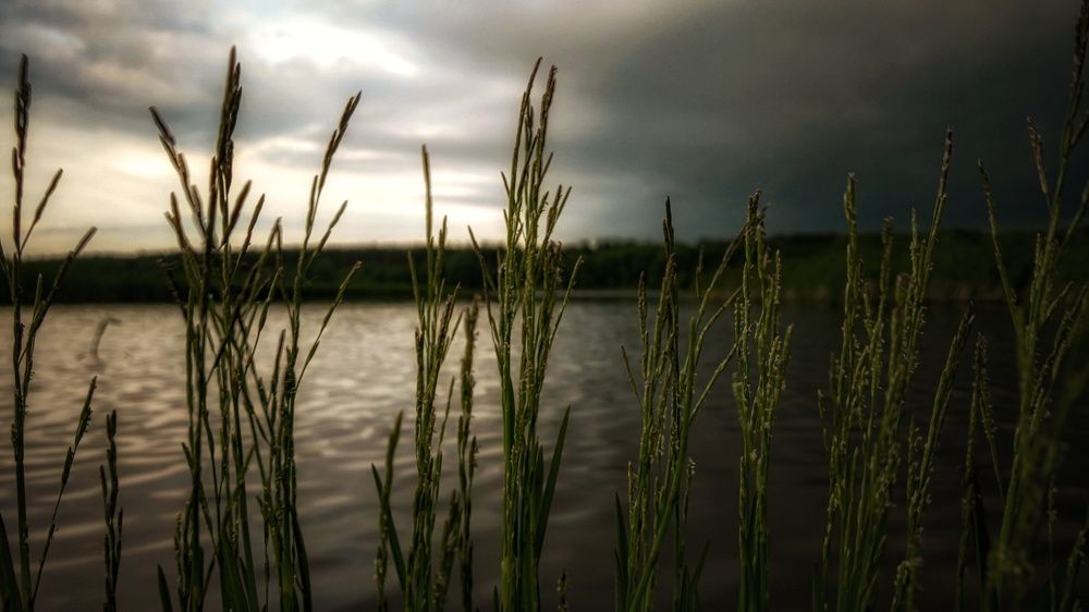 Photograph by Сергей Грицков