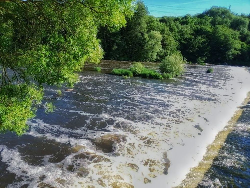 Photograph by Gabriela Meghnini