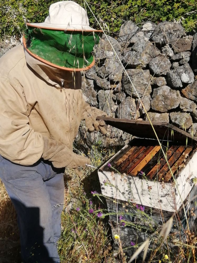 Photograph by Manuel Guedelha