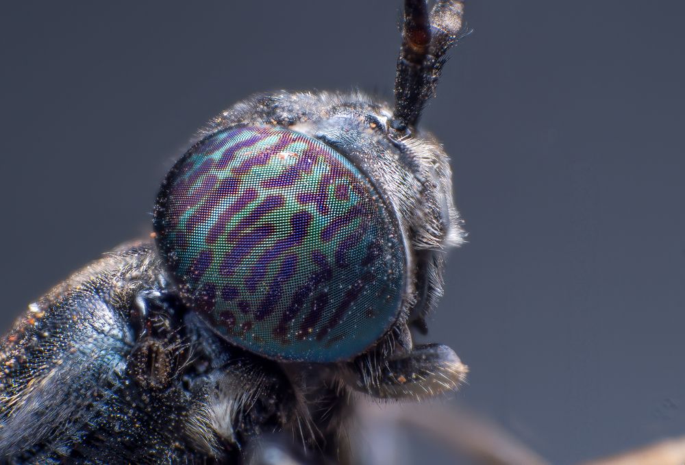 Фотография автора Kiran KV