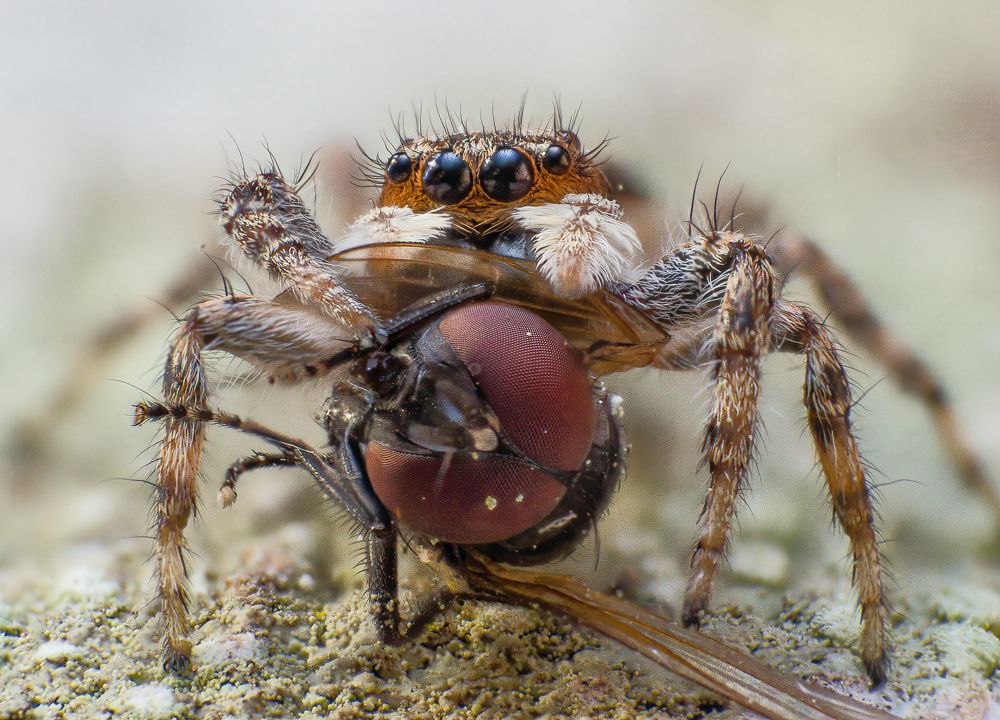 Фотография автора Kiran KV