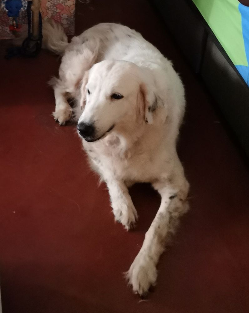 Photograph by EVELYN SIEW YEN CHAN