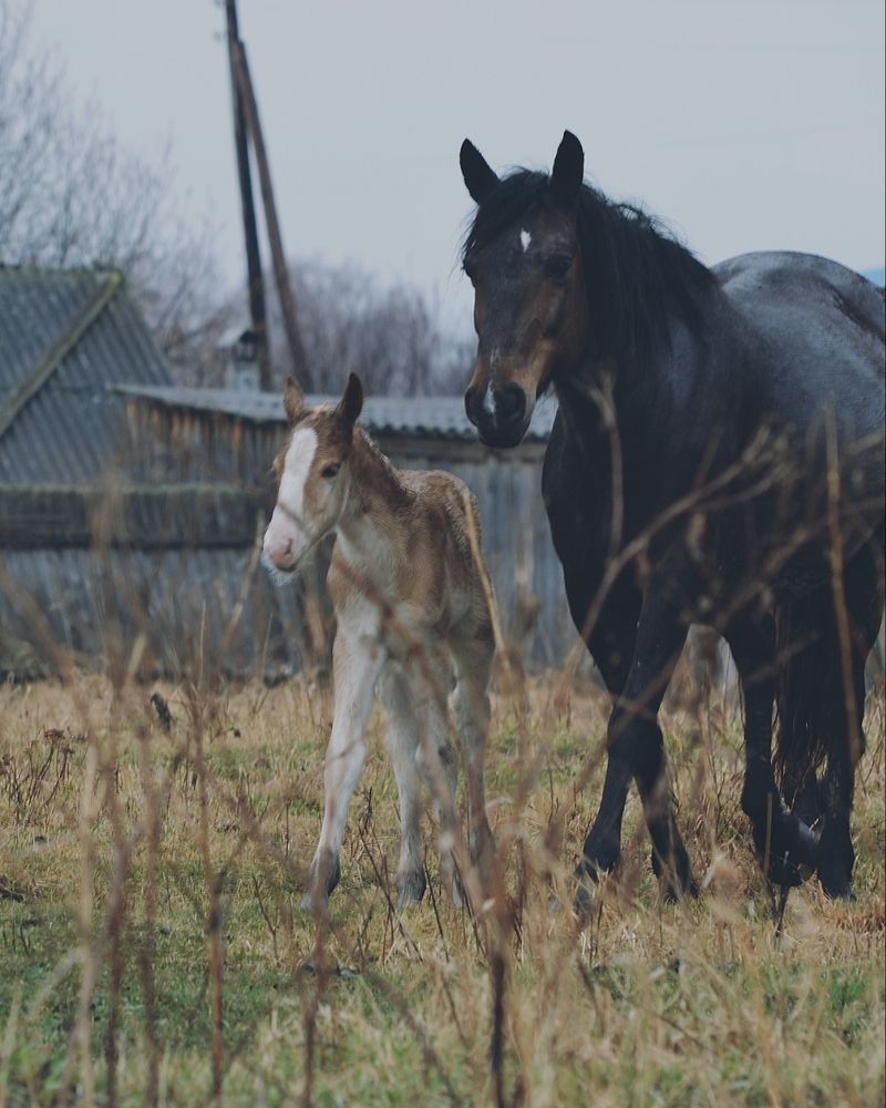Photograph by Надежда Сабаева