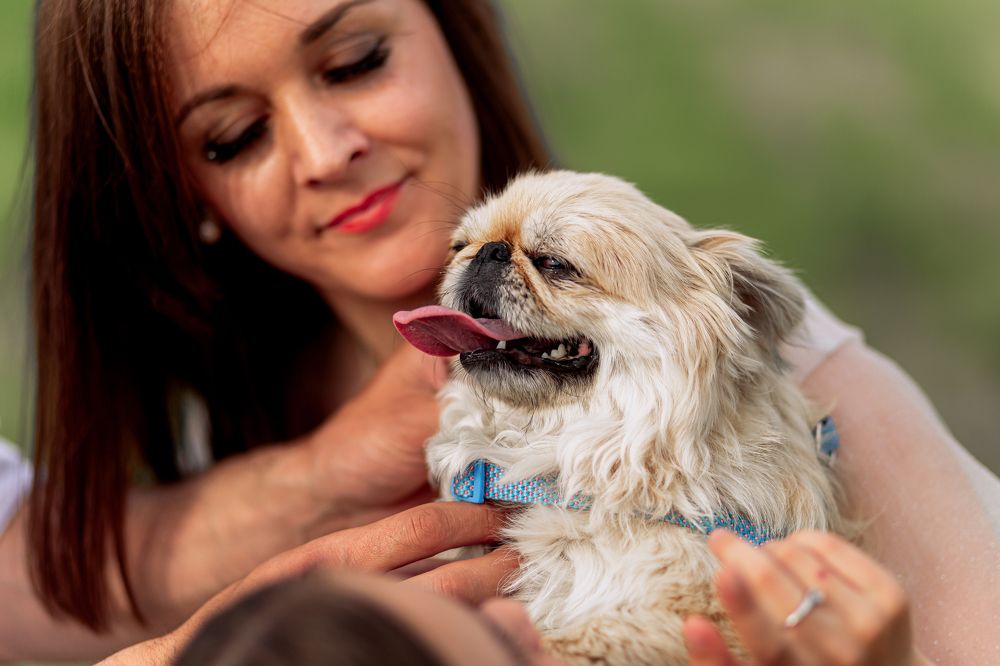 Photograph by Grigorii Ungurean