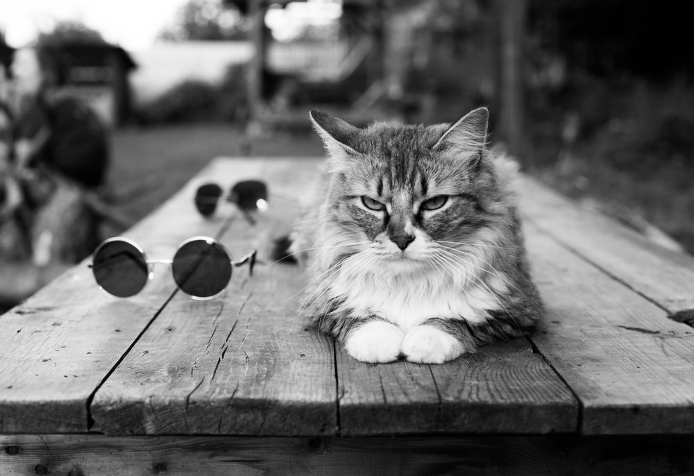 Photograph by Львова Люси