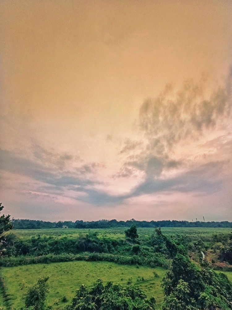 Photograph by Rounak Kayal