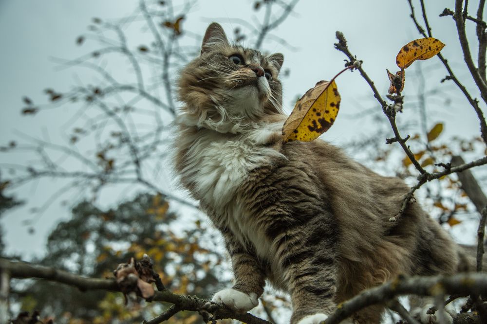 Photograph by Львова Люси