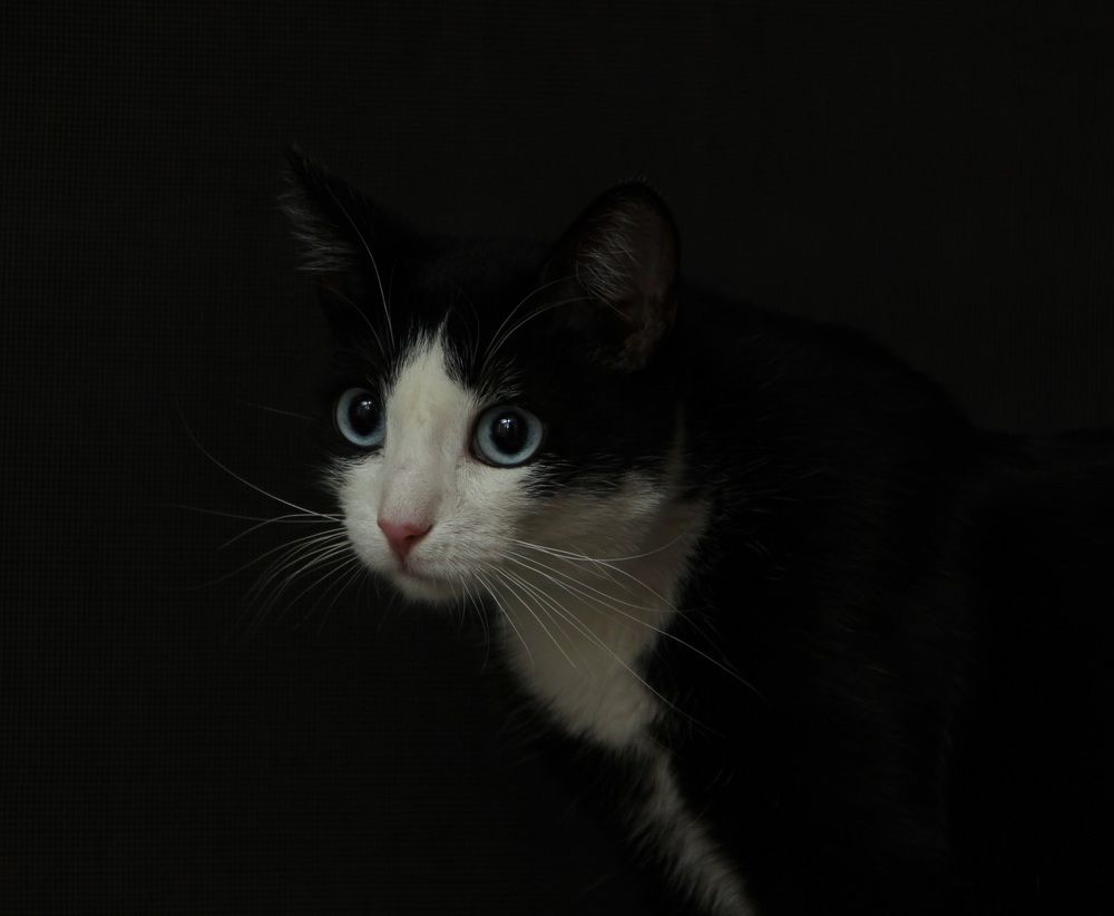 Photograph by Алина