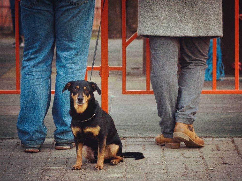 Photograph by Павел Ступак