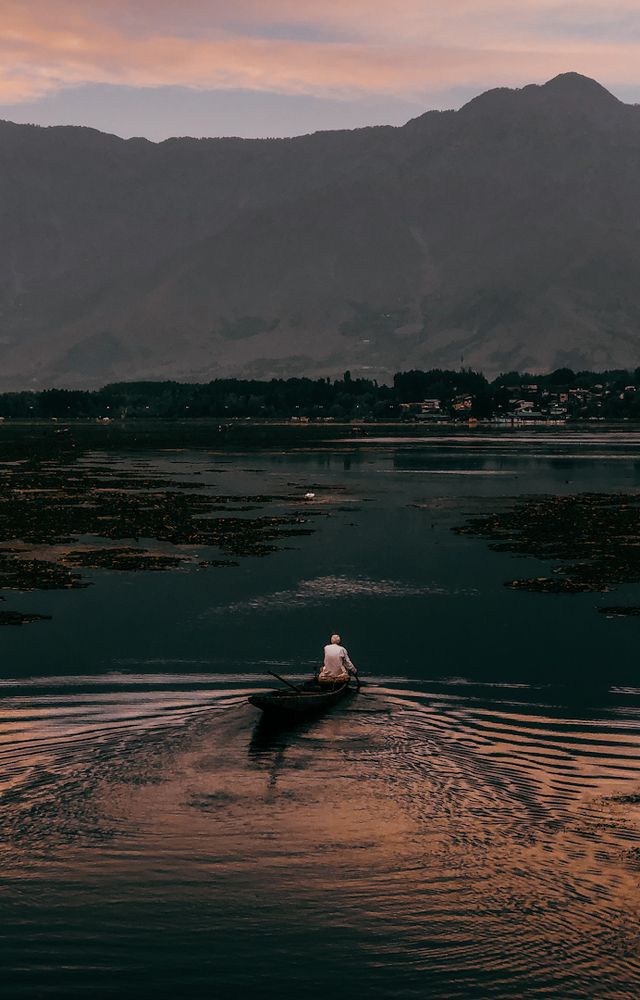 Shikara in Dal lake