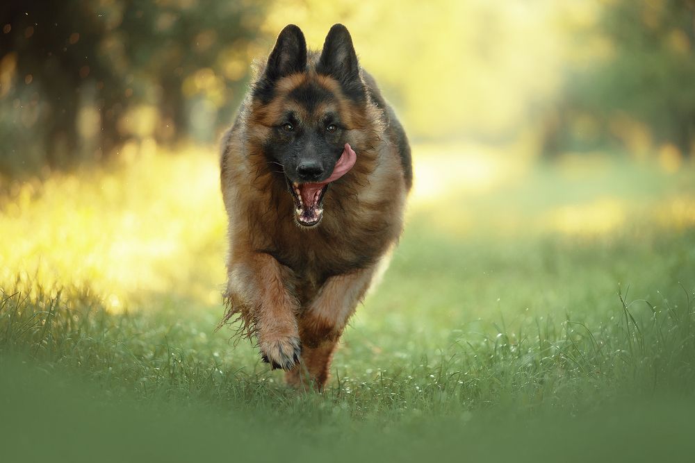 Photograph by Alona Landsman