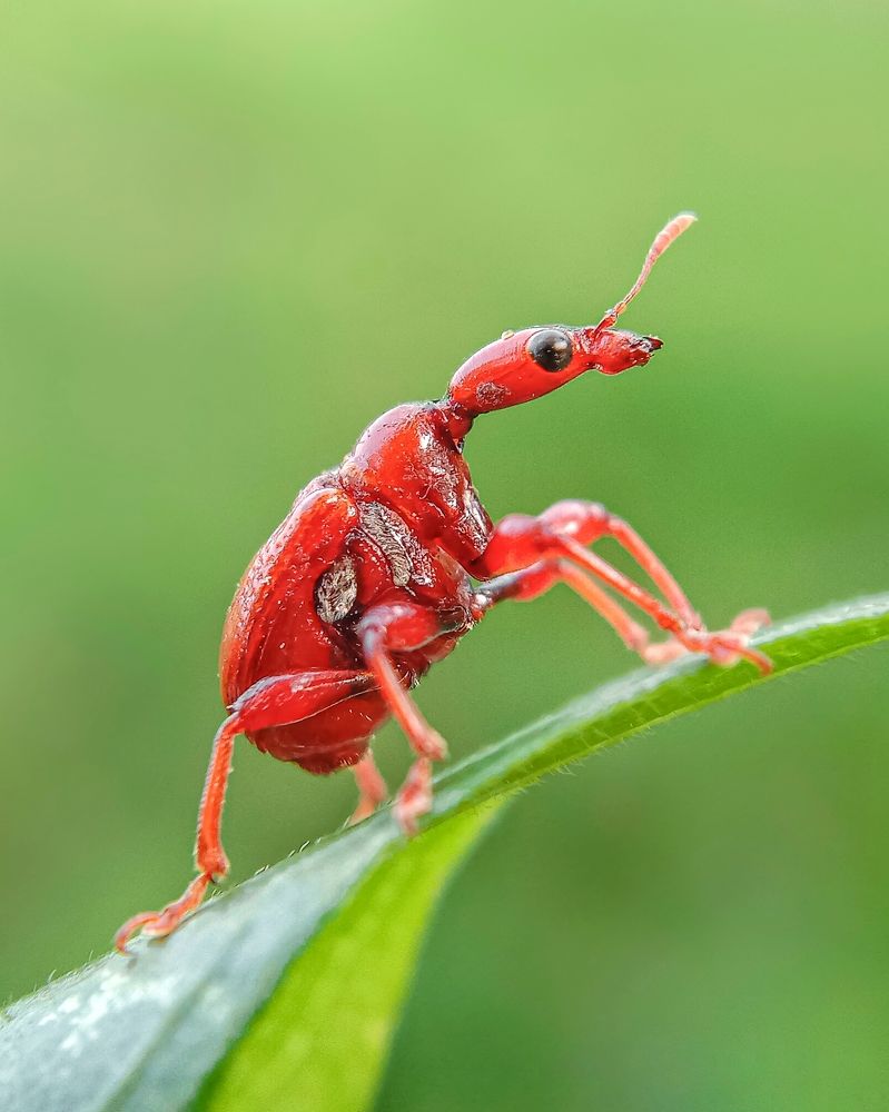 Photograph by Kumar. P Deekshith