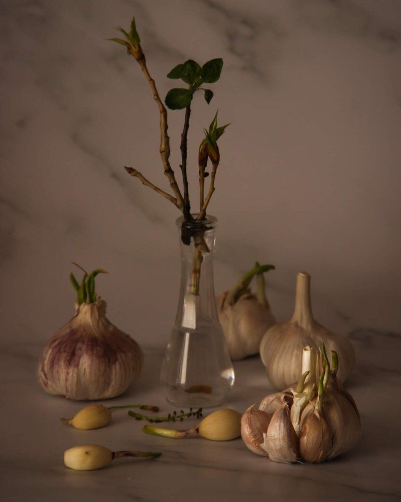 Photograph by Алина