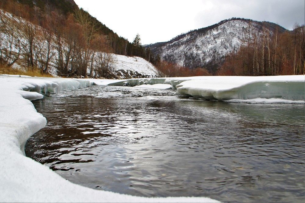 Photograph by Сергей Писарев