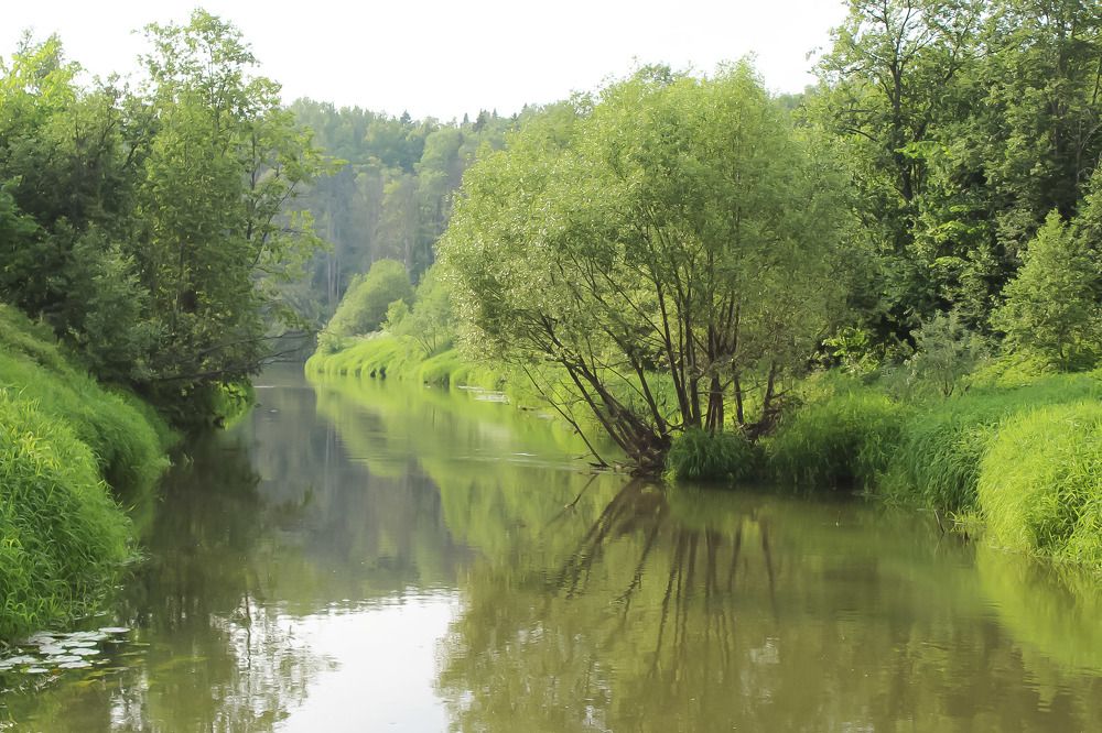 Photograph by Оксана Топоркова