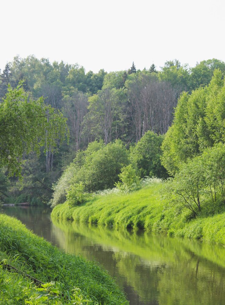 Тихая речушка