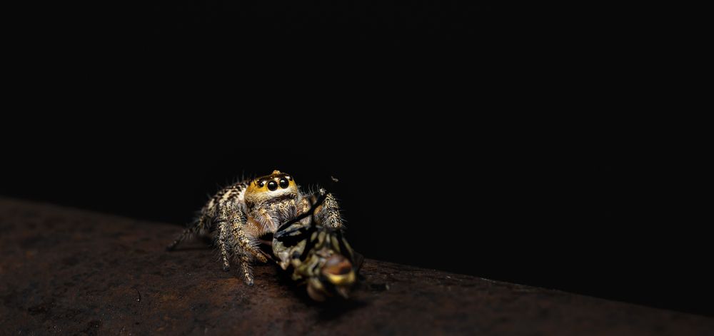 Photograph by S GURURAJ