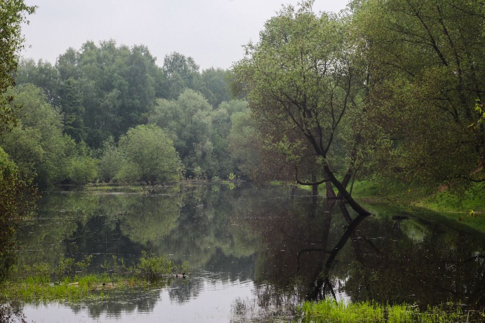 Photograph by Оксана Топоркова