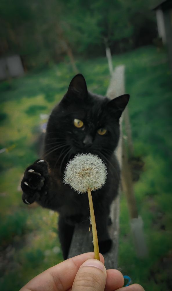 Photograph by Алексей Тарасов