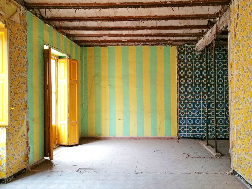 Photo #6194307