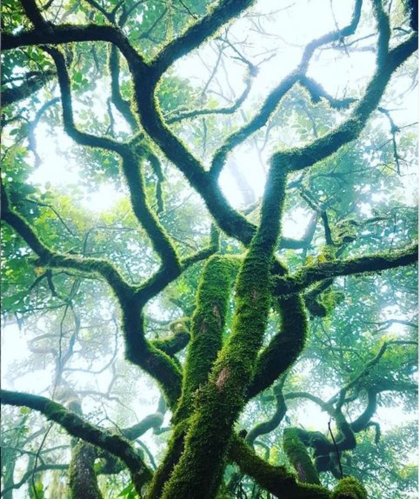 Photograph by Pathum Abeynayake