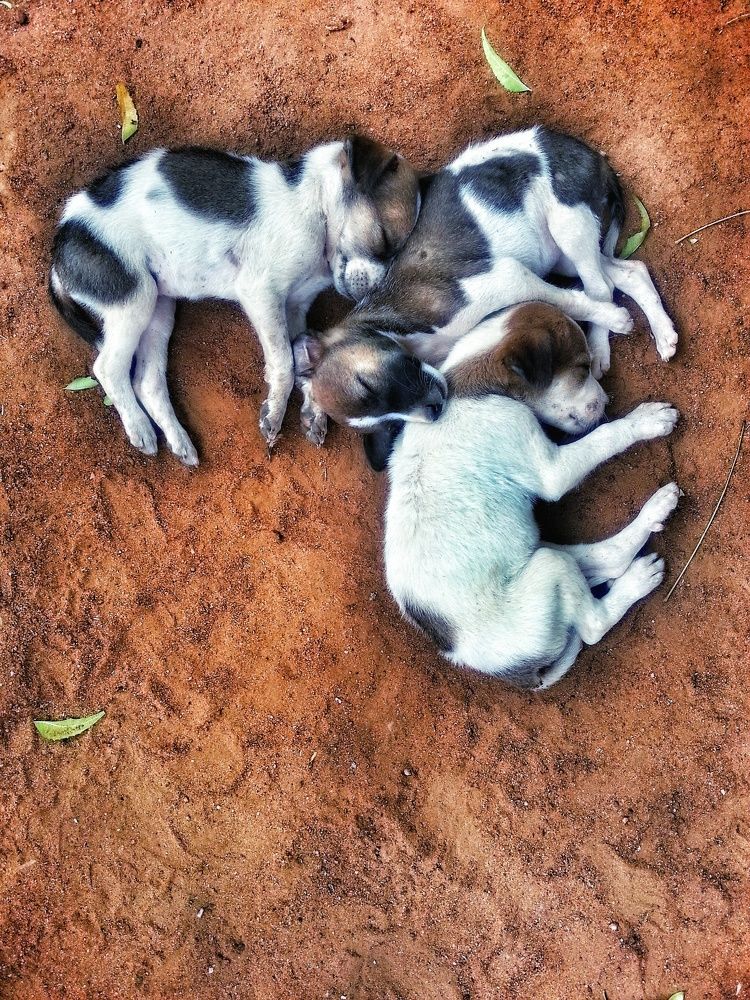 Фотография автора Arul prakash.A