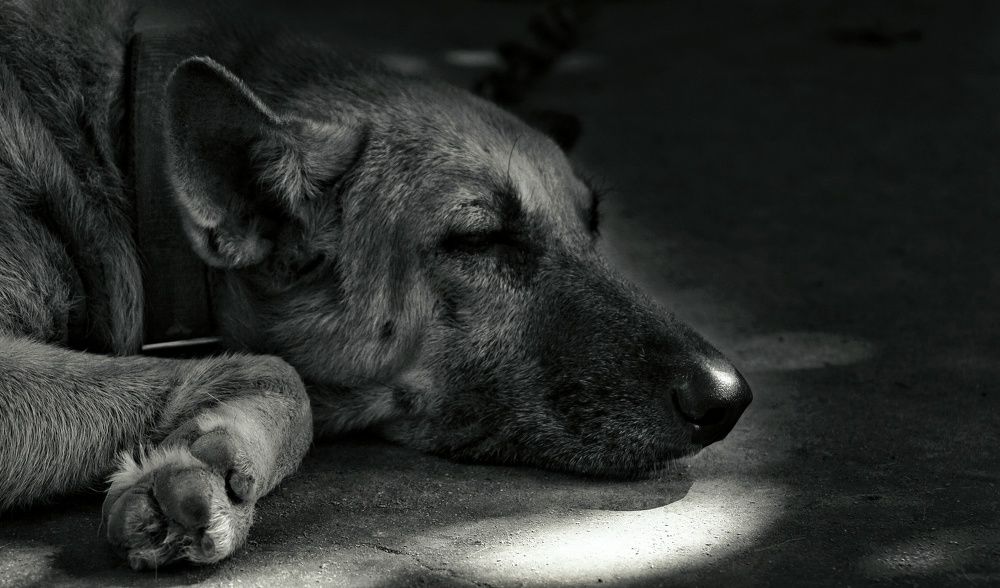 Фотография автора Arul prakash.A