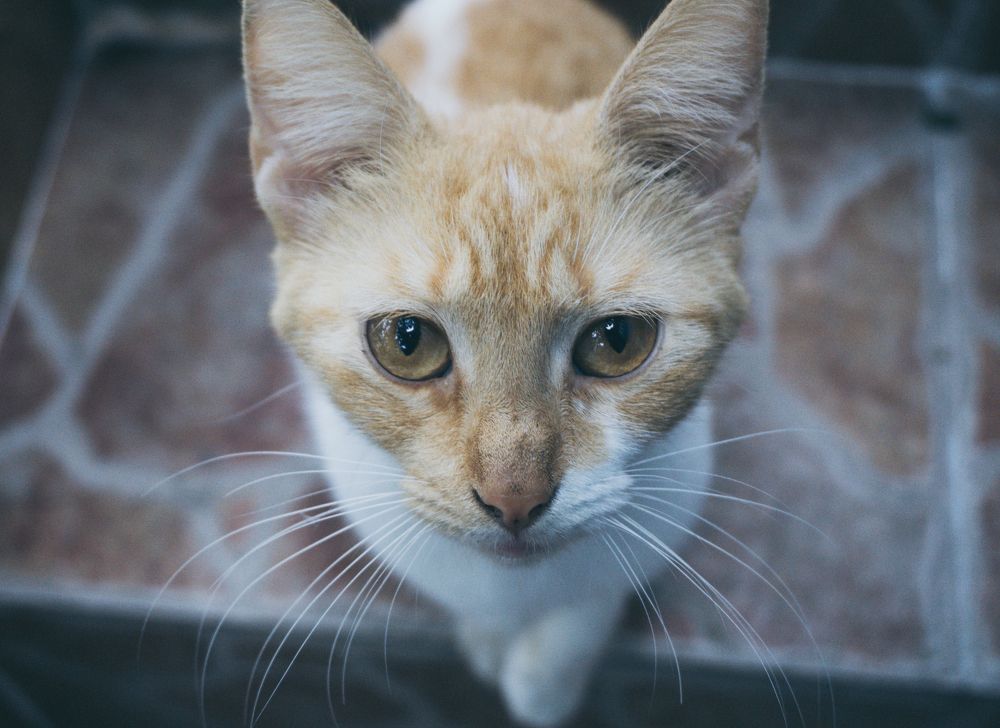 Фотография автора Grace