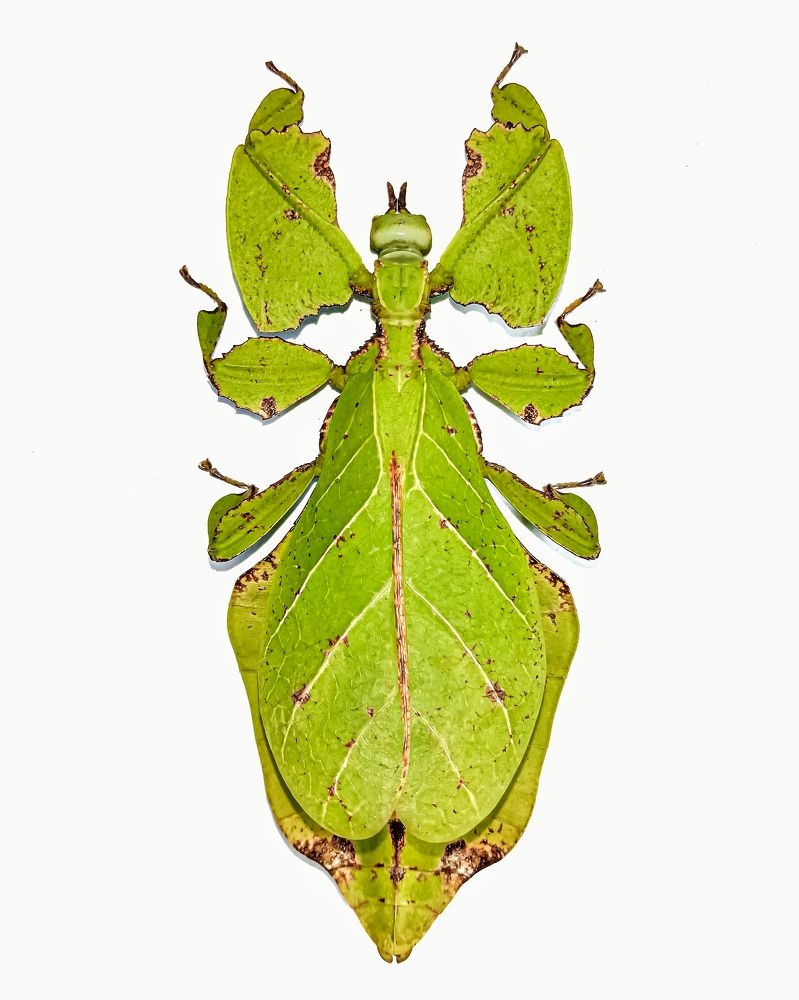 Photograph by Kumar. P Deekshith