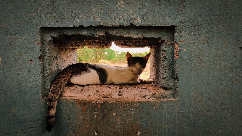 Photograph by uday teja