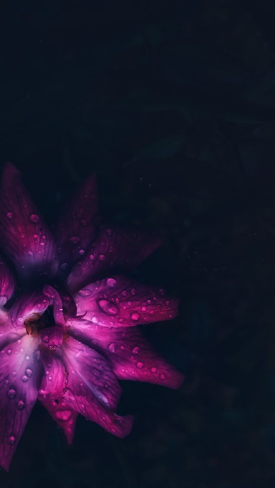 Photograph by Lijo Jose