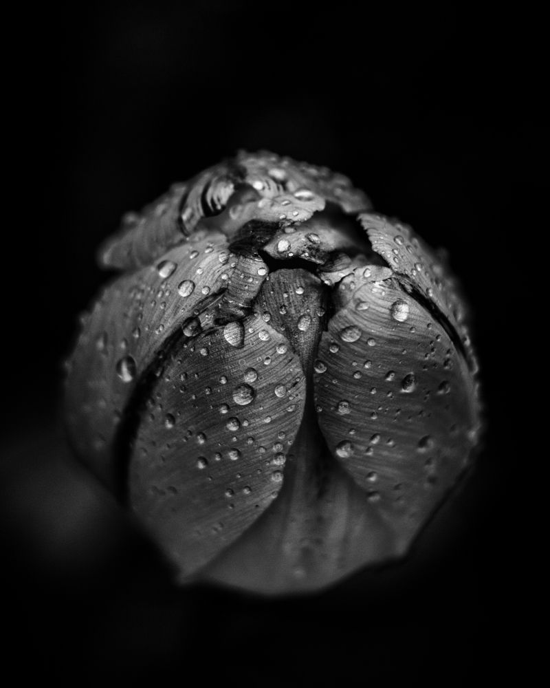 Photograph by Максим Салихов