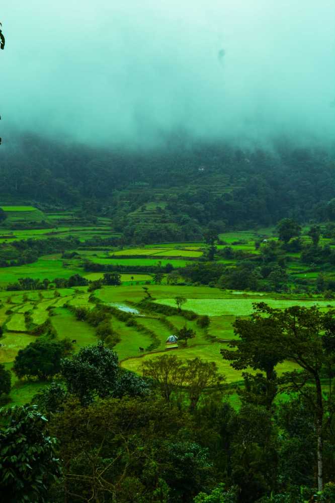 Photograph by Sona S A