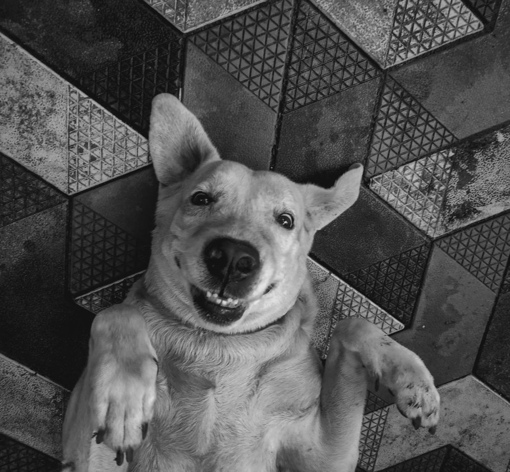 Photograph by Abhijith S