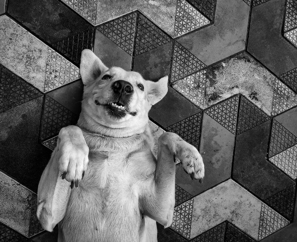 Photograph by Abhijith S