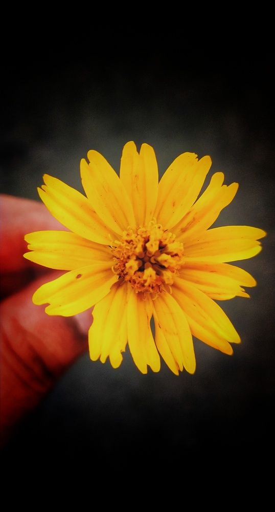Photograph by Joseph Jennings M M