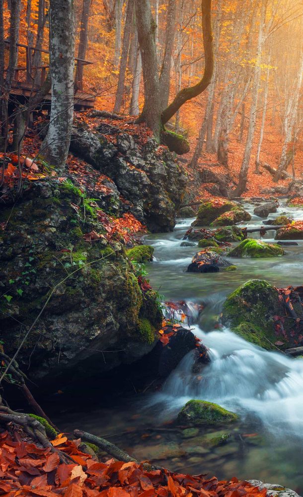 Photograph by Lakshitha Thiwanka