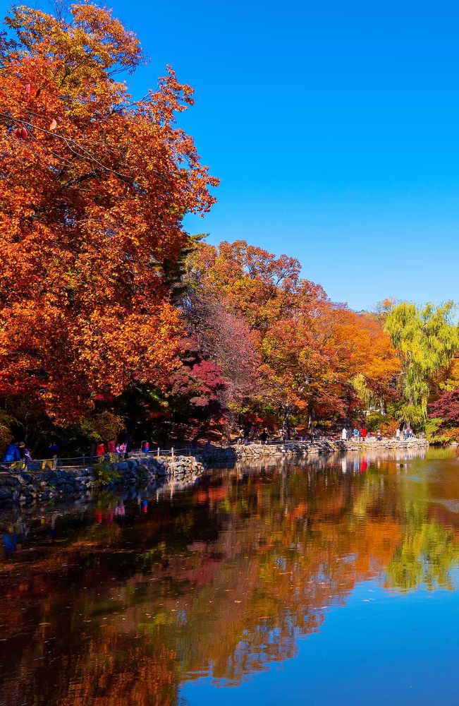 Photograph by Lakshitha Thiwanka