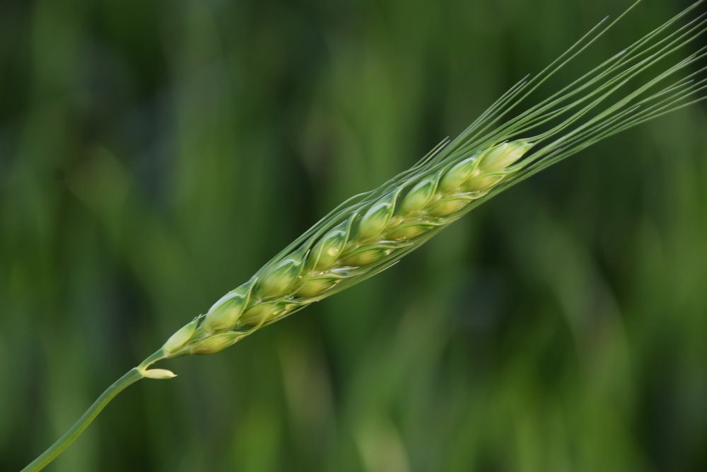 Photograph by Galina Leskova