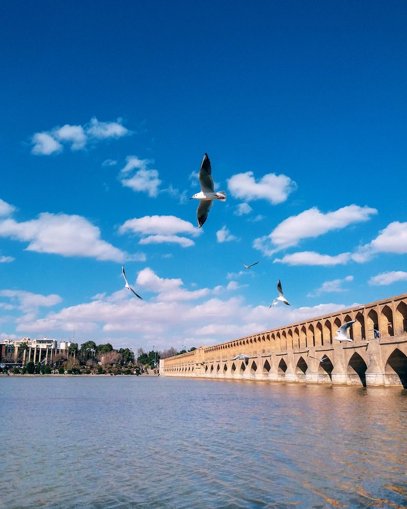 Photograph by safoura asghari