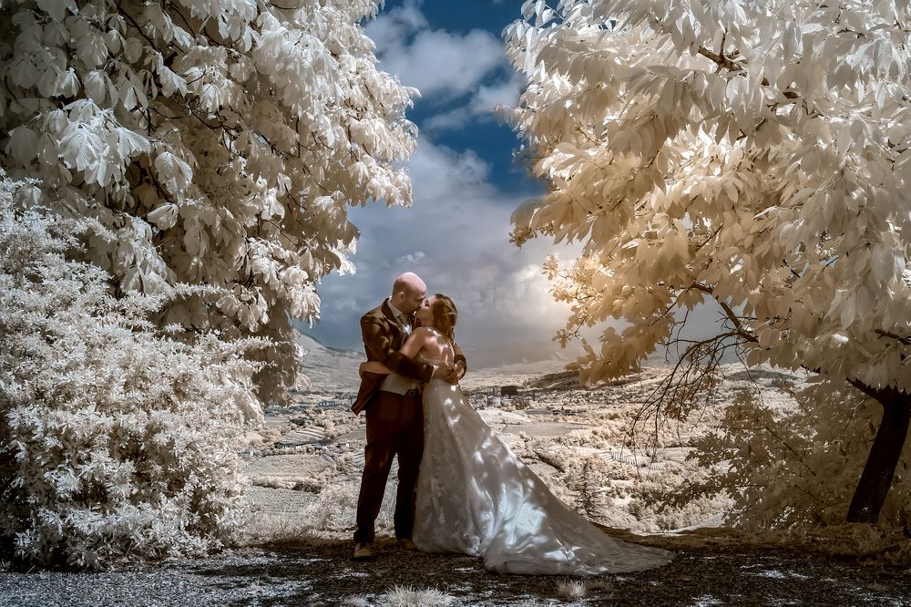 Photograph by Sara Jazbar