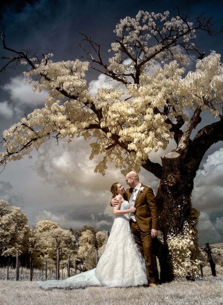 Photograph by Sara Jazbar