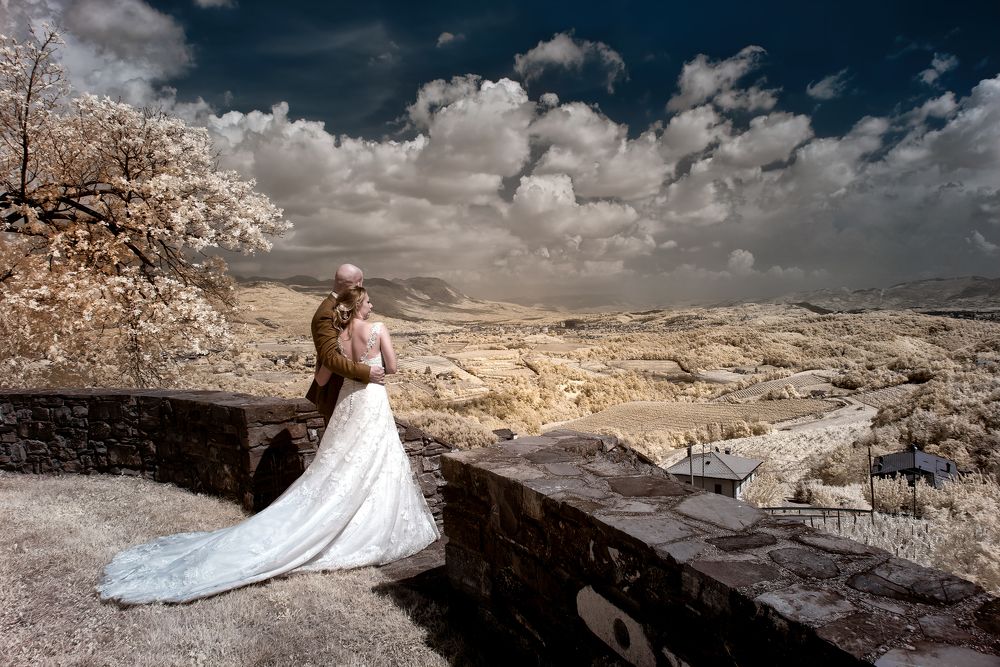 Photograph by Sara Jazbar