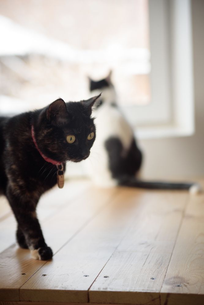 Photograph by Эрика Мареева